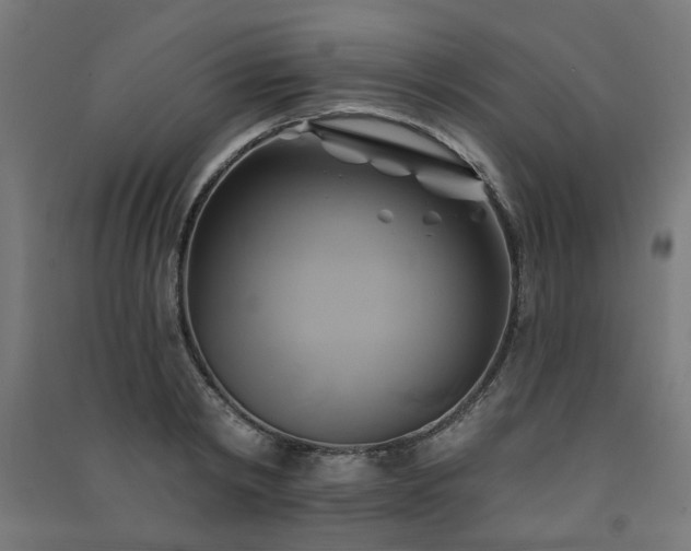 X0000091590798200708201229