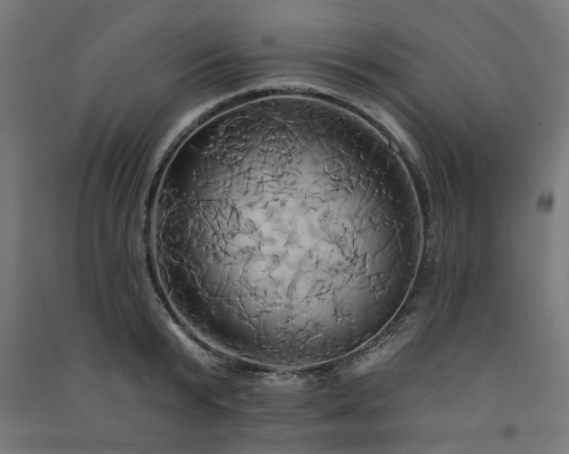 X0000091590799200708201229