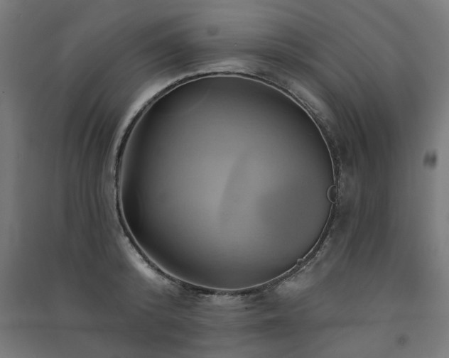 X0000091590800200708201229
