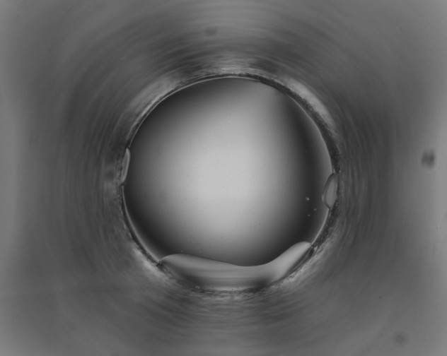 X0000091590801200708201229