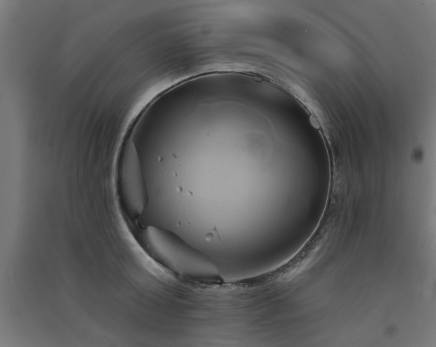 X0000091590803200708201228