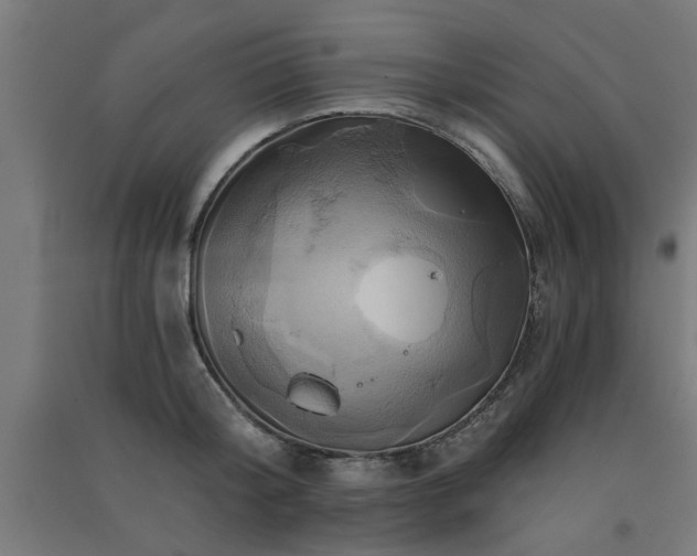 X0000091590804200708201228