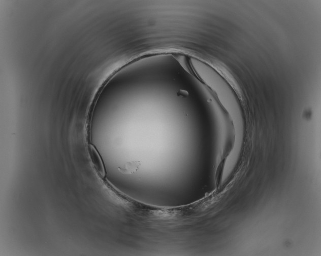 X0000091590805200708201228