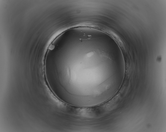 X0000091590808200708201228