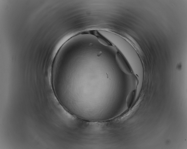 X0000091590812200708201228