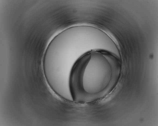 X0000091590813200708201228