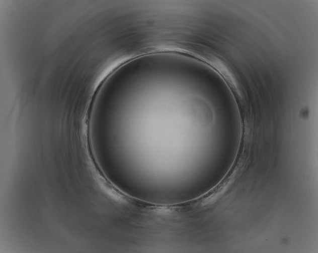 X0000091590814200708201228