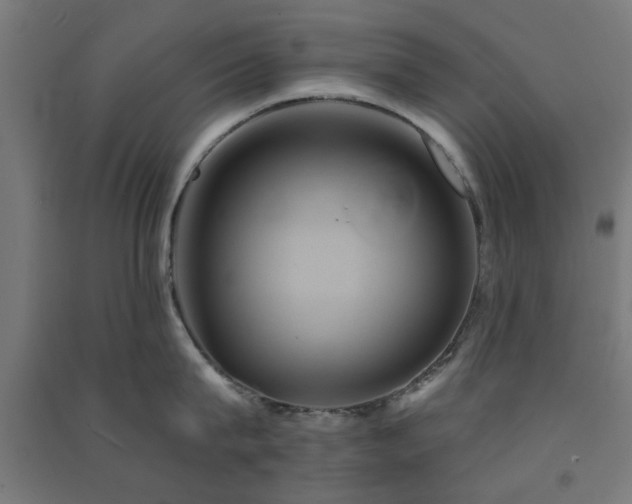 X0000091590815200708201228