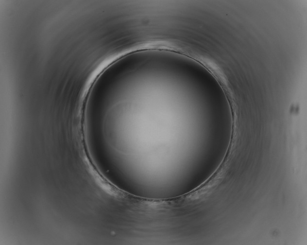 X0000091590816200708201228