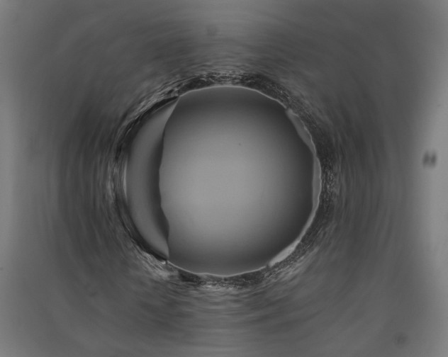 X0000091590818200708201228