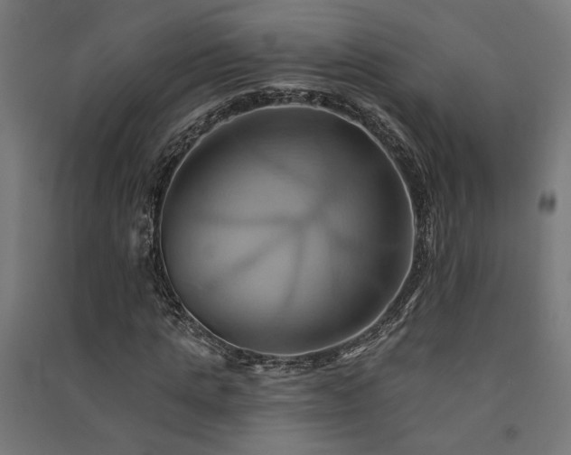 X0000091590821200708201228