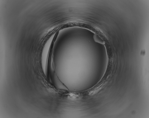X0000091590822200708201228