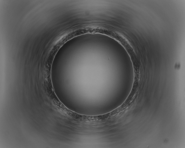 X0000091590823200708201228