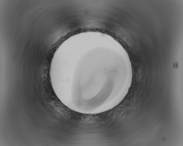 X0000091590824200708201228