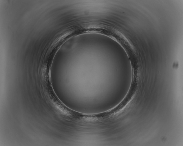 X0000091590825200708201228