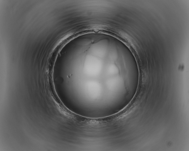 X0000091590827200708201228