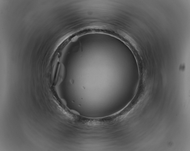 X0000091590829200708201228