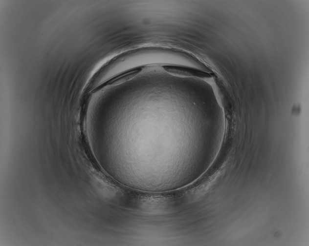 X0000091590830200708201228