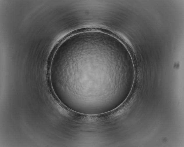 X0000091590831200708201228