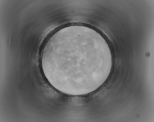 X0000091590832200708201228