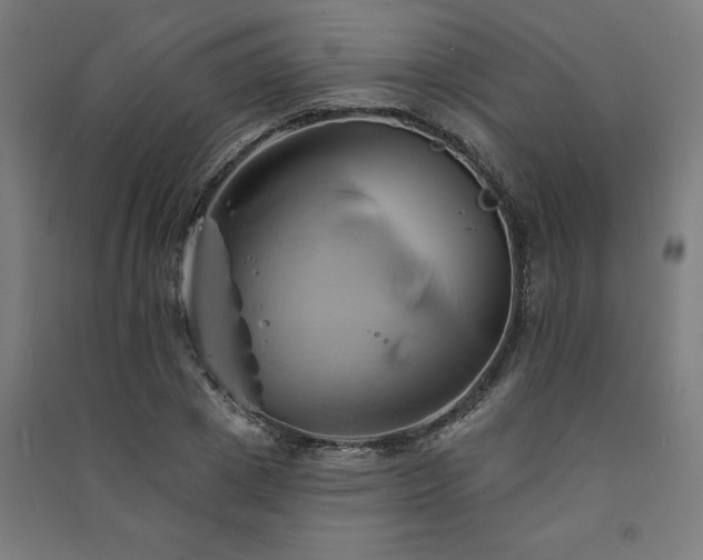 X0000091590833200708201228