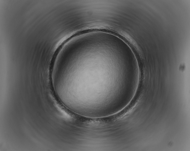 X0000091590834200708201228