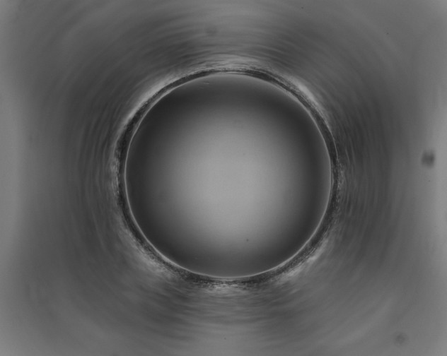 X0000091590835200708201228