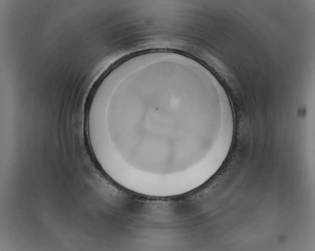 X0000091590836200708201228