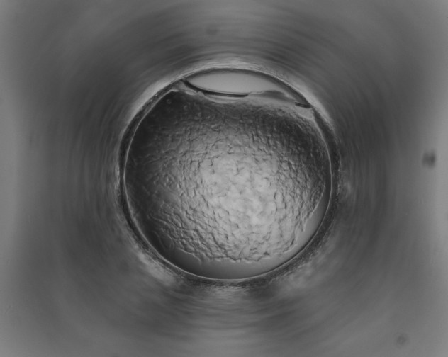 X0000091590837200708201228