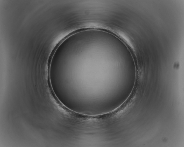 X0000091590839200708201228