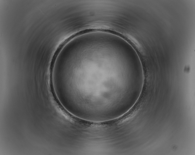 X0000091590840200708201228