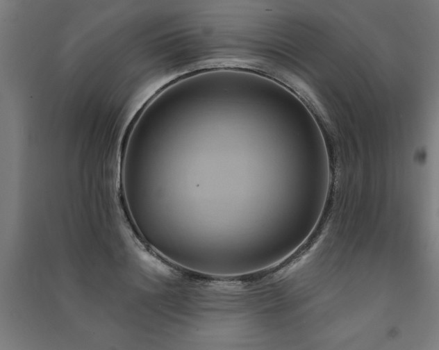 X0000091590844200708201228