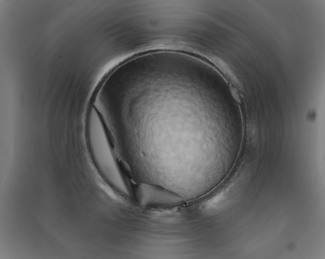 X0000091590846200708201228