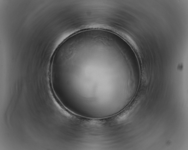 X0000091590847200708201228