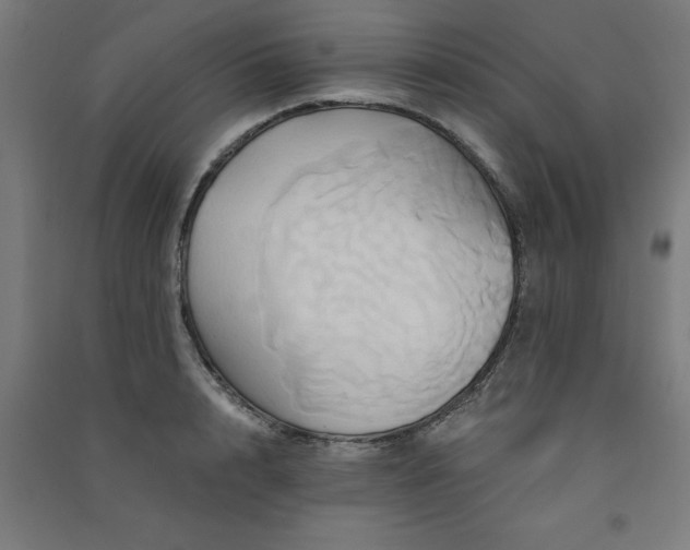 X0000091590848200708201228
