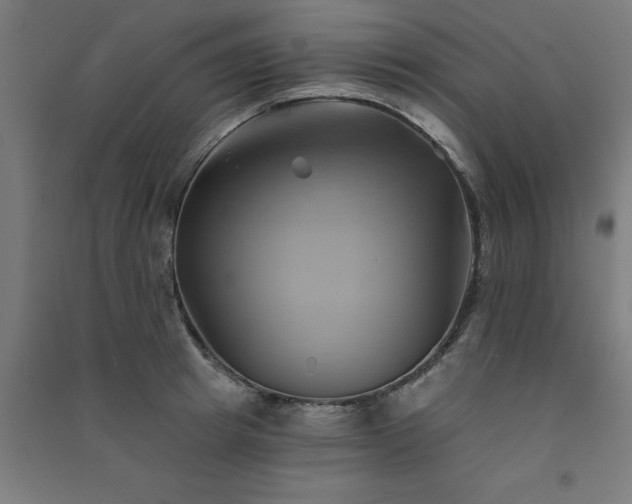 X0000091590849200708201228