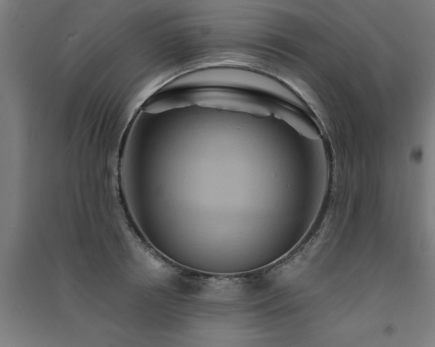 X0000091590850200708201228