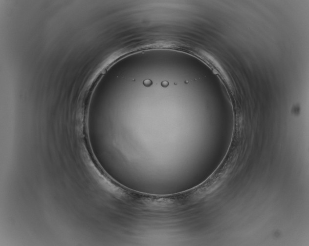 X0000091590851200708201228