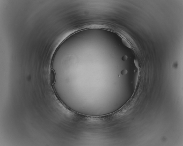 X0000091590852200708201228