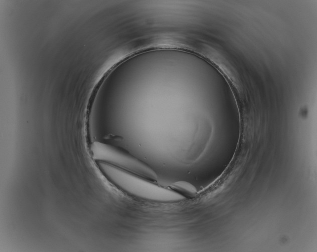 X0000091590853200708201228