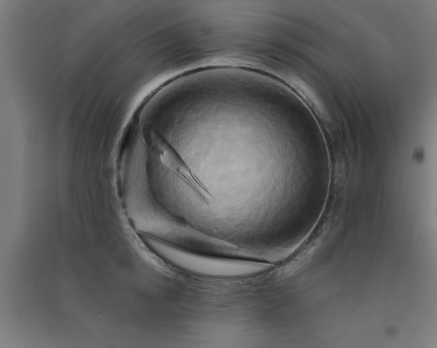 X0000091590854200708201228