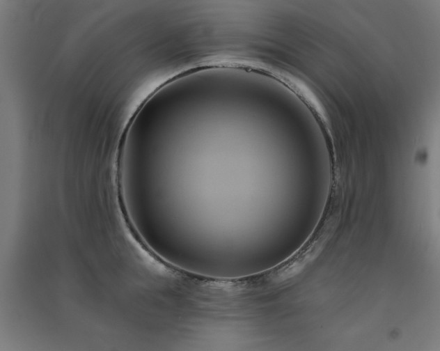 X0000091590855200708201228