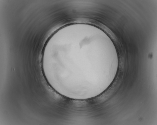 X0000091590856200708201228