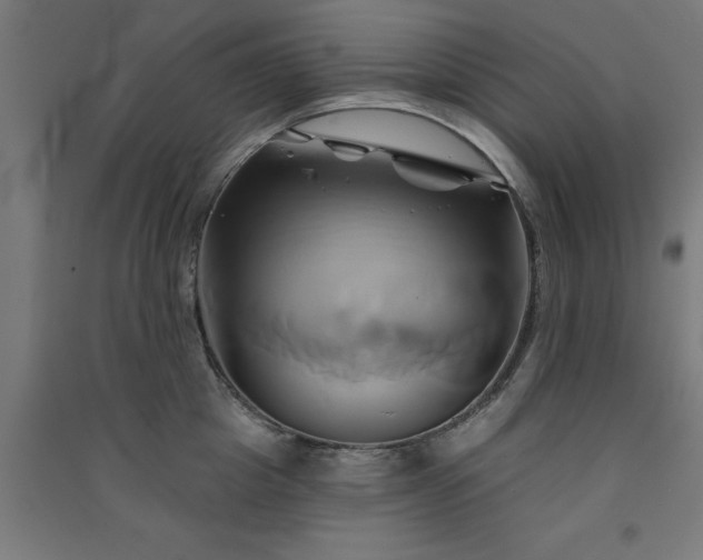 X0000091590857200708201228