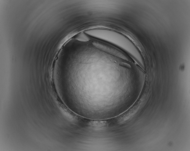 X0000091590858200708201228