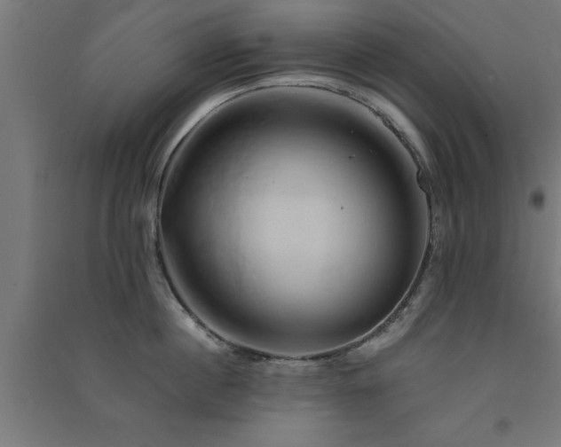 X0000091590860200708201228