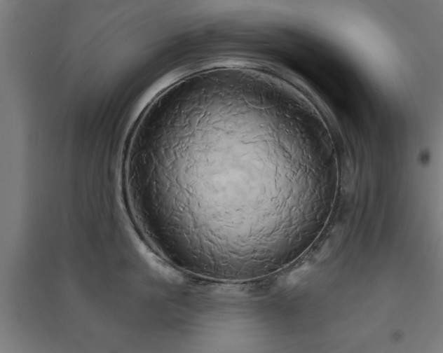 X0000091590861200708201228