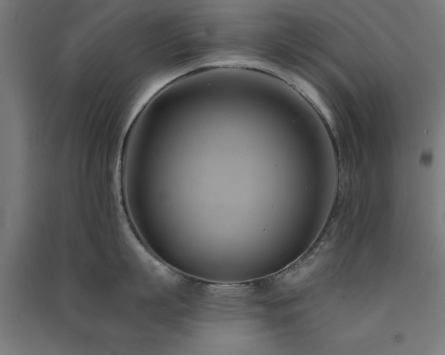 X0000091590863200708201228