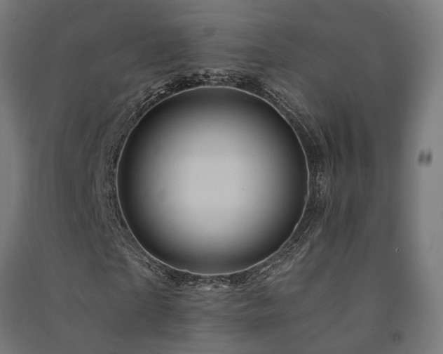 X0000091590865200708201228
