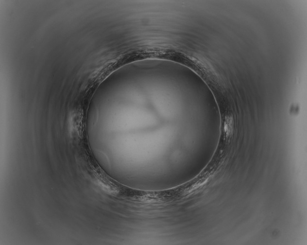 X0000091590867200708201228
